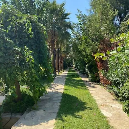 Marmaris's Rose Мармарис